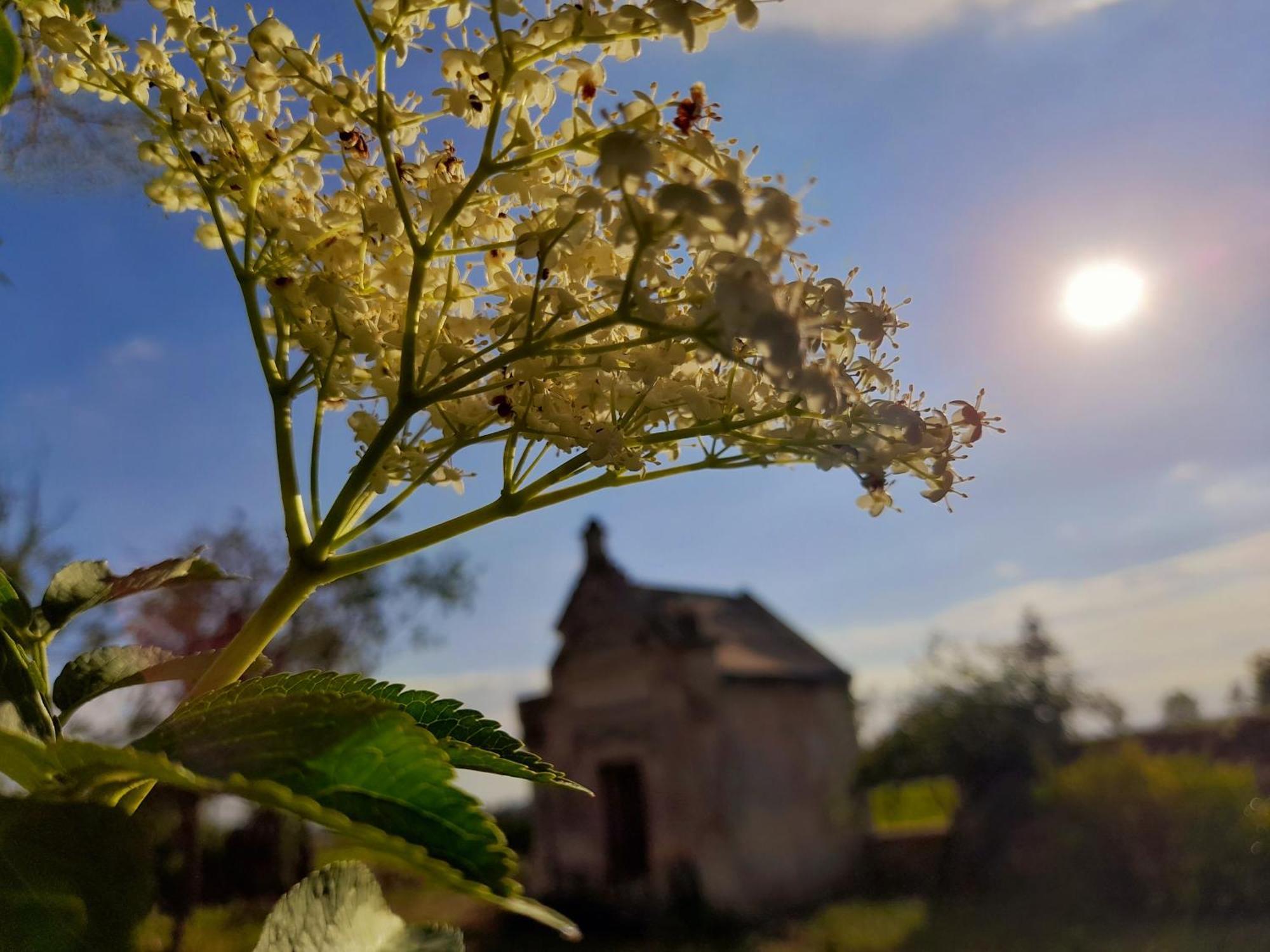 La Galuche Bed and Breakfast Angliers  Buitenkant foto